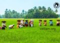 Is today’s agriculture producing food? 6 Is Life, a rat race, or a journey?