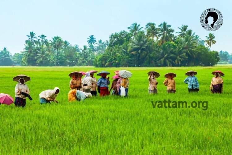 Is today’s agriculture producing food? 1 Is Life, a rat race, or a journey?